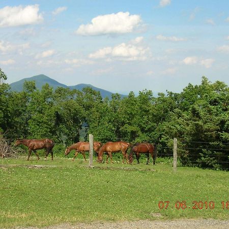 Bent Mountain Lodge Roanoke Zewnętrze zdjęcie
