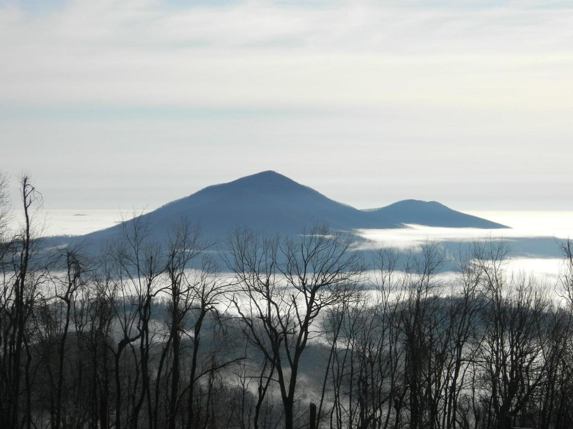 Bent Mountain Lodge Roanoke Zewnętrze zdjęcie