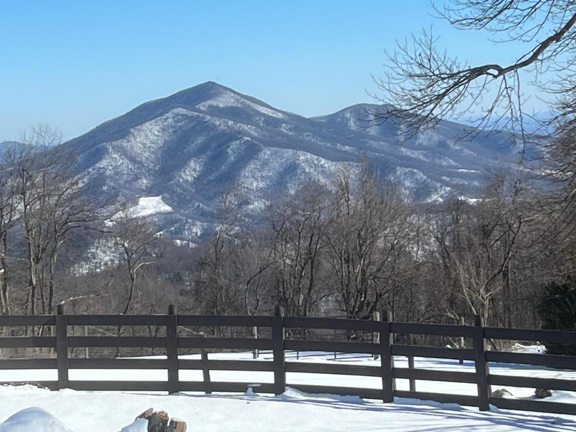 Bent Mountain Lodge Roanoke Zewnętrze zdjęcie