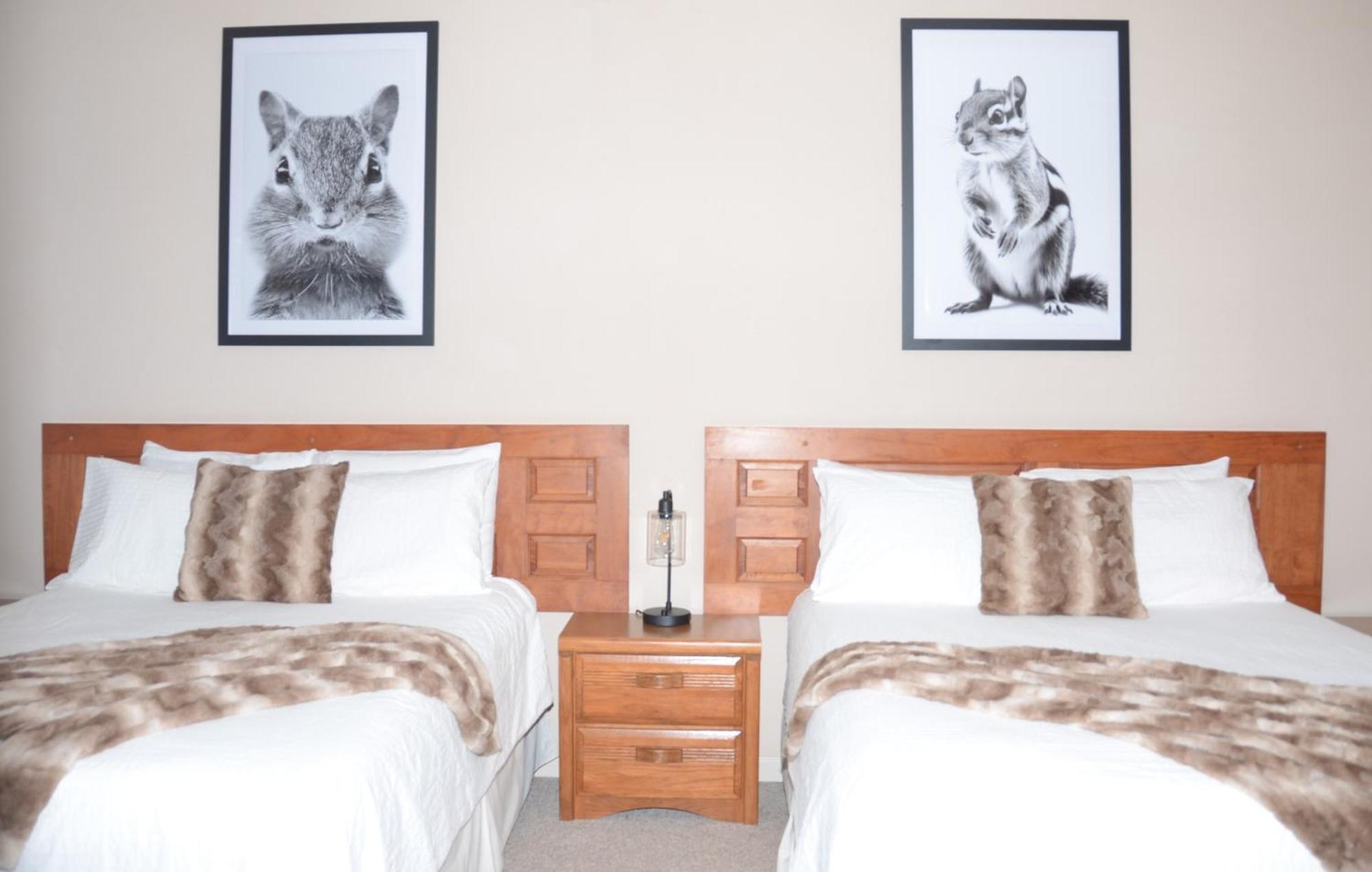 Bent Mountain Lodge Roanoke Zewnętrze zdjęcie